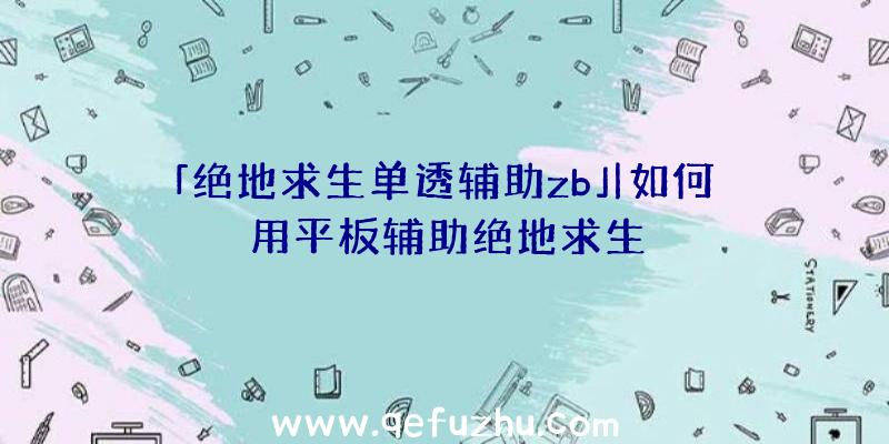 「绝地求生单透辅助zb」|如何用平板辅助绝地求生